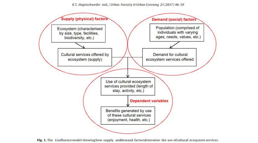 Factors Affecting Supply Economics Help